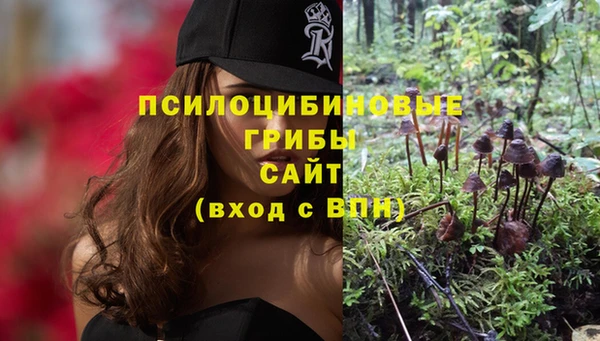 альфа пвп Магас