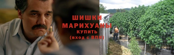 индика Майский