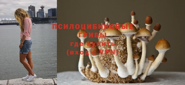 индика Майский