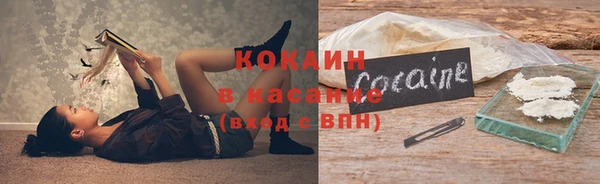 индика Майский