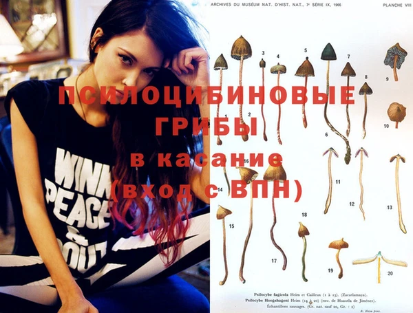 альфа пвп Магас