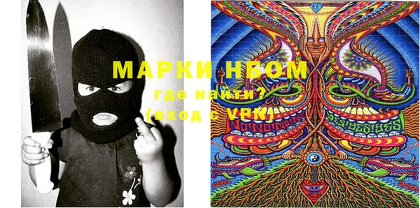 индика Майский