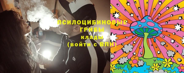 индика Майский