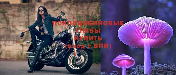 индика Майский