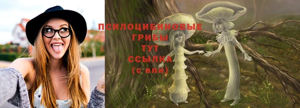 мяу мяу мука Магадан