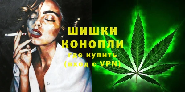 индика Майский