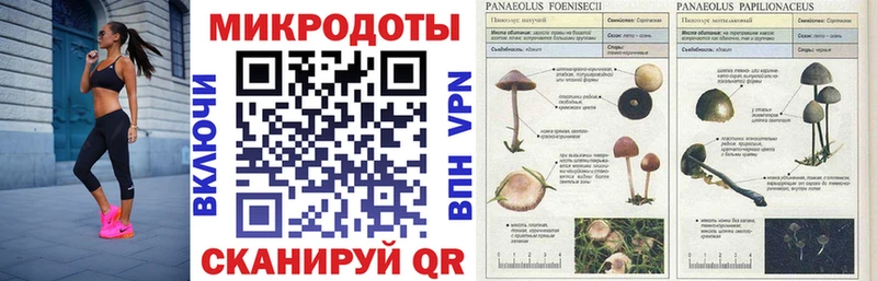 Купить где  Харабали  Псилоцибиновые грибы ЛСД 